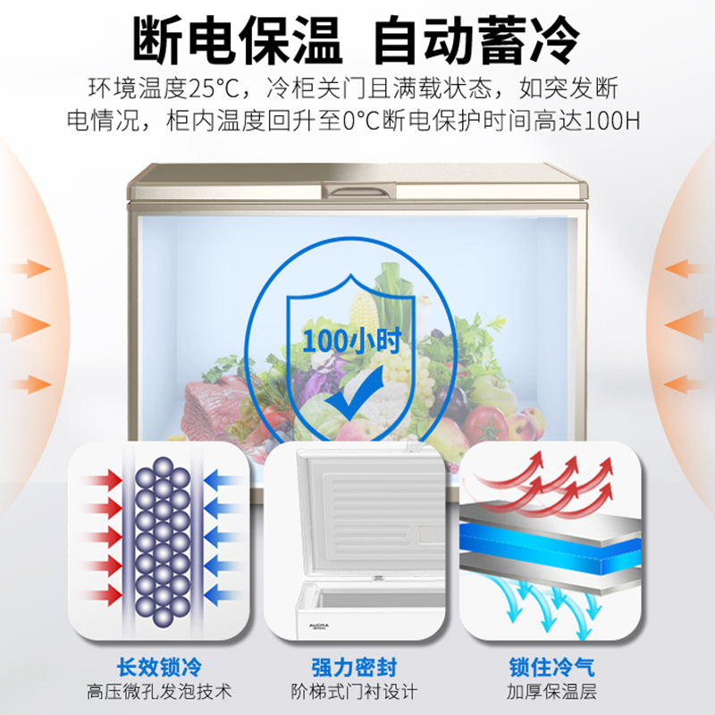澳柯玛（AUCMA）309升家用商用大容量冰柜 商用雪糕大冰箱 冷藏冷冻转换顶开门冷柜  BC/BD-309HNE