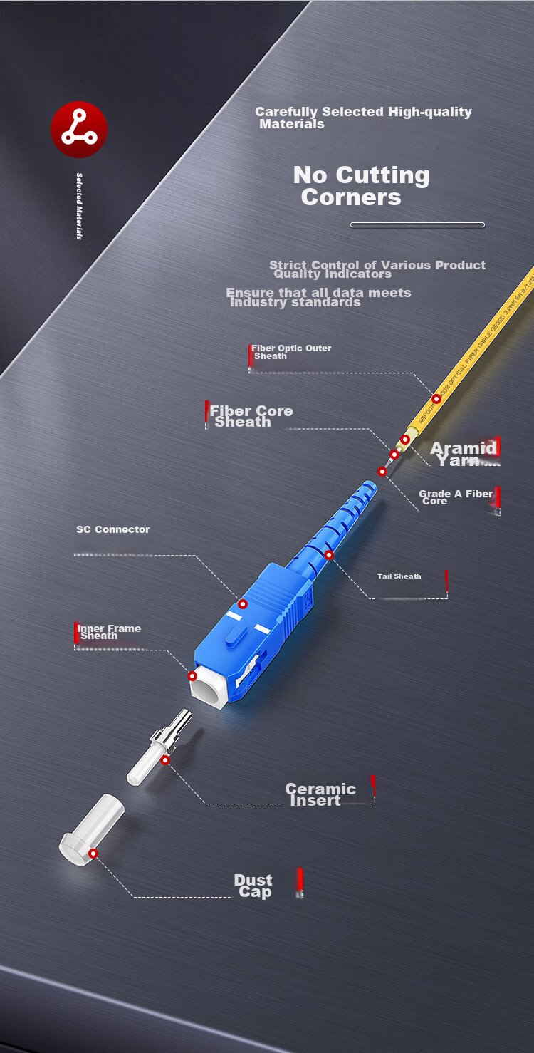 AMPCOM Fiber Optic Patch Cable SC-SC Telecom Grade 2.0mm Single-Mode Dual-Core Engineering 9/125μm Transceiver Pigtail Low Smoke Zero Halogen Indoor Cable 3 Meters ASM2SC2203 11