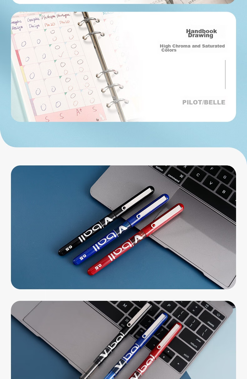 PILOT BL-VB5 Ballpoint Pen with Direct Liquid Ink, Bullet Tip, Gel Pen, Signature Pen, Student Stationery Set, Exam Pen, 0.5mm, Blue, Pack of 12 5
