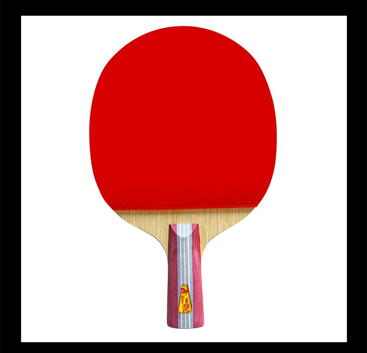 DOUBLE FISH Straight Handle Entry-Level Table Tennis Racket for Elementary School Students, Beginners, And Entertainment Use, Double-Sided Reverse Rubber Ping Pong Paddle [1A+E + 2 Balls Included] 7