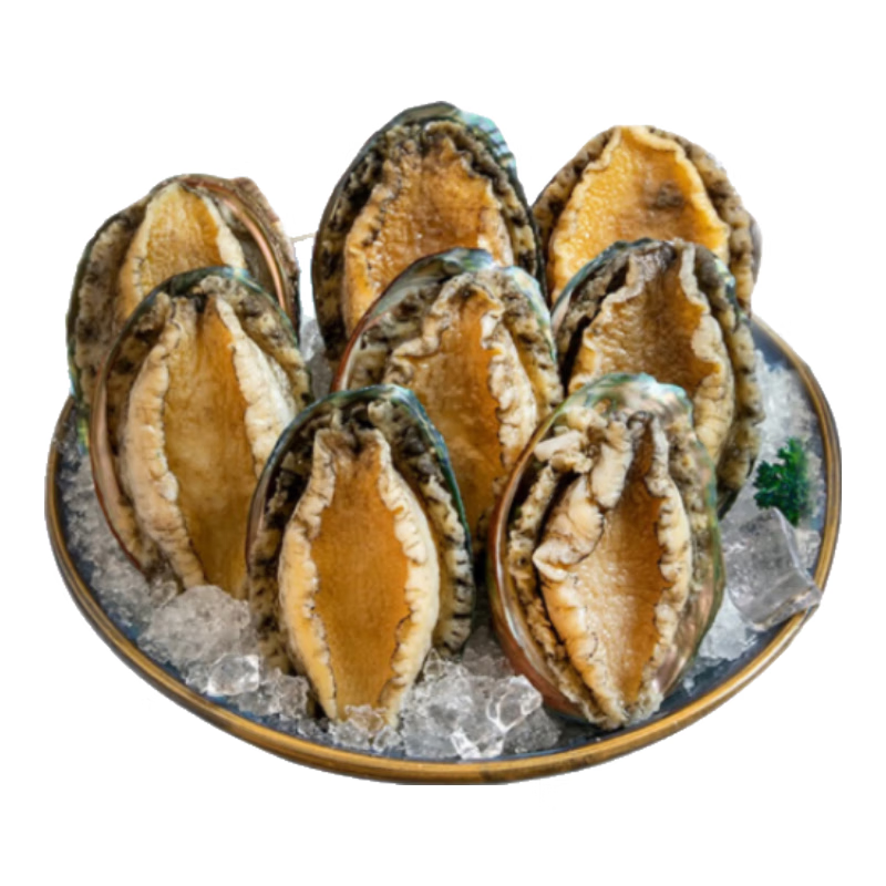 江船长冷冻大鲍鱼 净重400g 10粒袋装 火锅食材 贝类生鲜