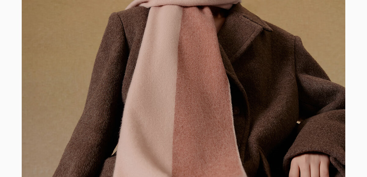 Wanshili Cashmere Scarf, Autumn And Winter Warm Neck Warmer, Fashionable Shawl for Men And Women, Gift for New Year And Holiday Season, Gift Box - Fenghua Ji 30