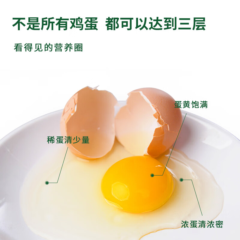 九華粮品有机富硒土鸡蛋20枚 净重1.6斤  鲜鸡蛋 礼盒 京东自营