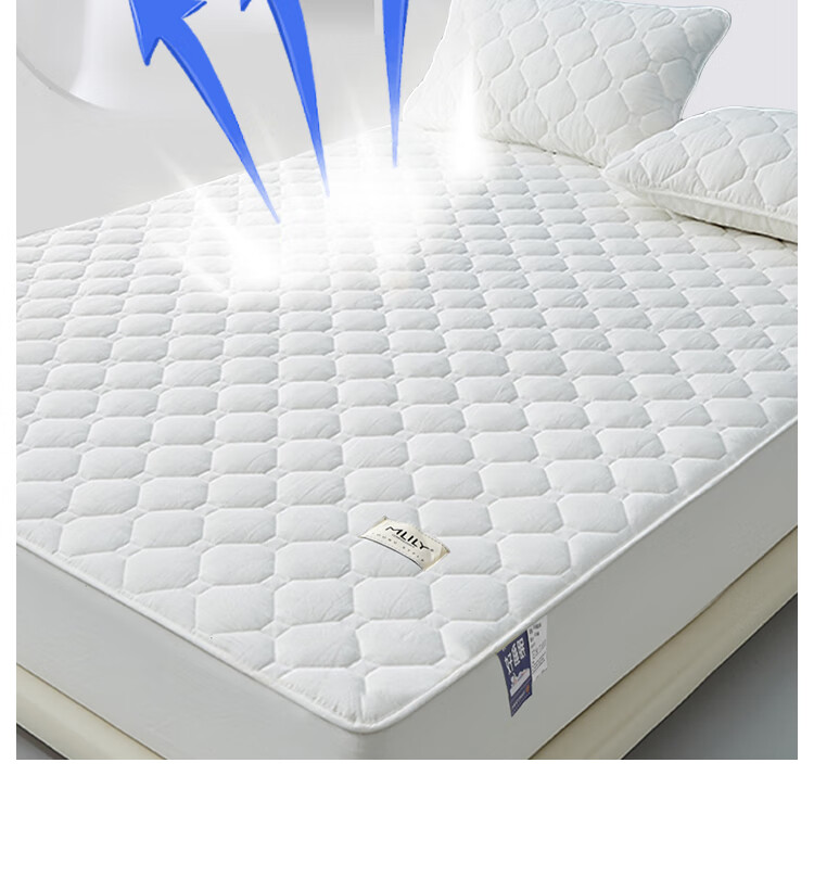 MLILY Pure Cotton Bed Fitted Sheet Xinjiang Cotton All Cotton Mattress Protector Cover A-Class 1.2m Bed 10