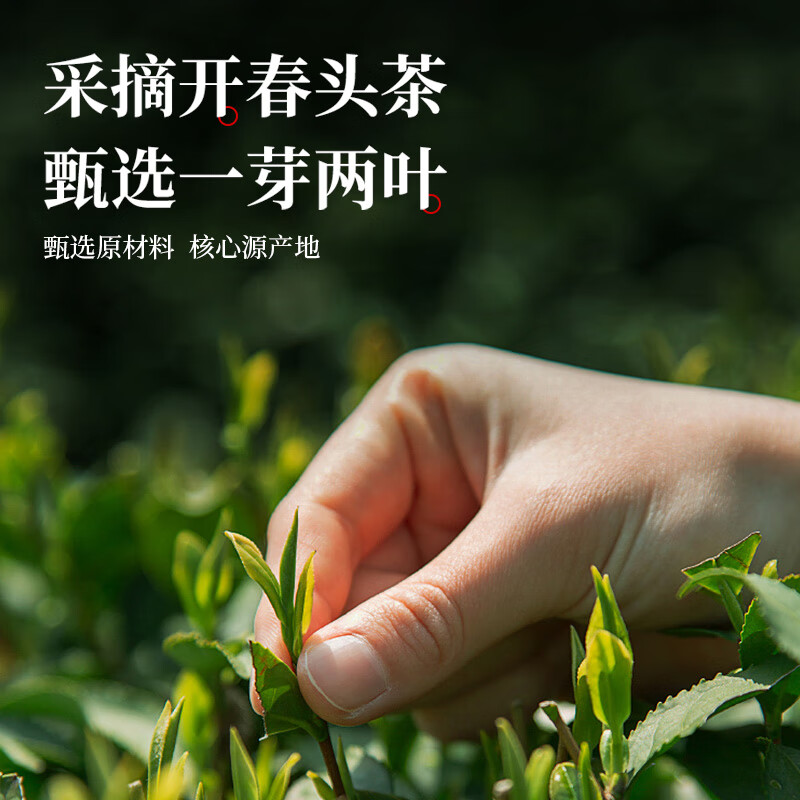 江萃绿茶龙井特级250g2025新茶明前茶叶礼盒装春茶长辈客户送礼礼品物