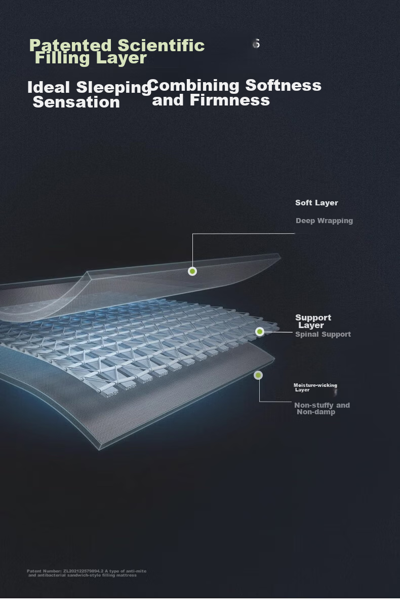 Anmino Anti-Mite Antibacterial Mattress Pad, Soft Mat for Home Use, Anti-Mite Tatami Mat 8