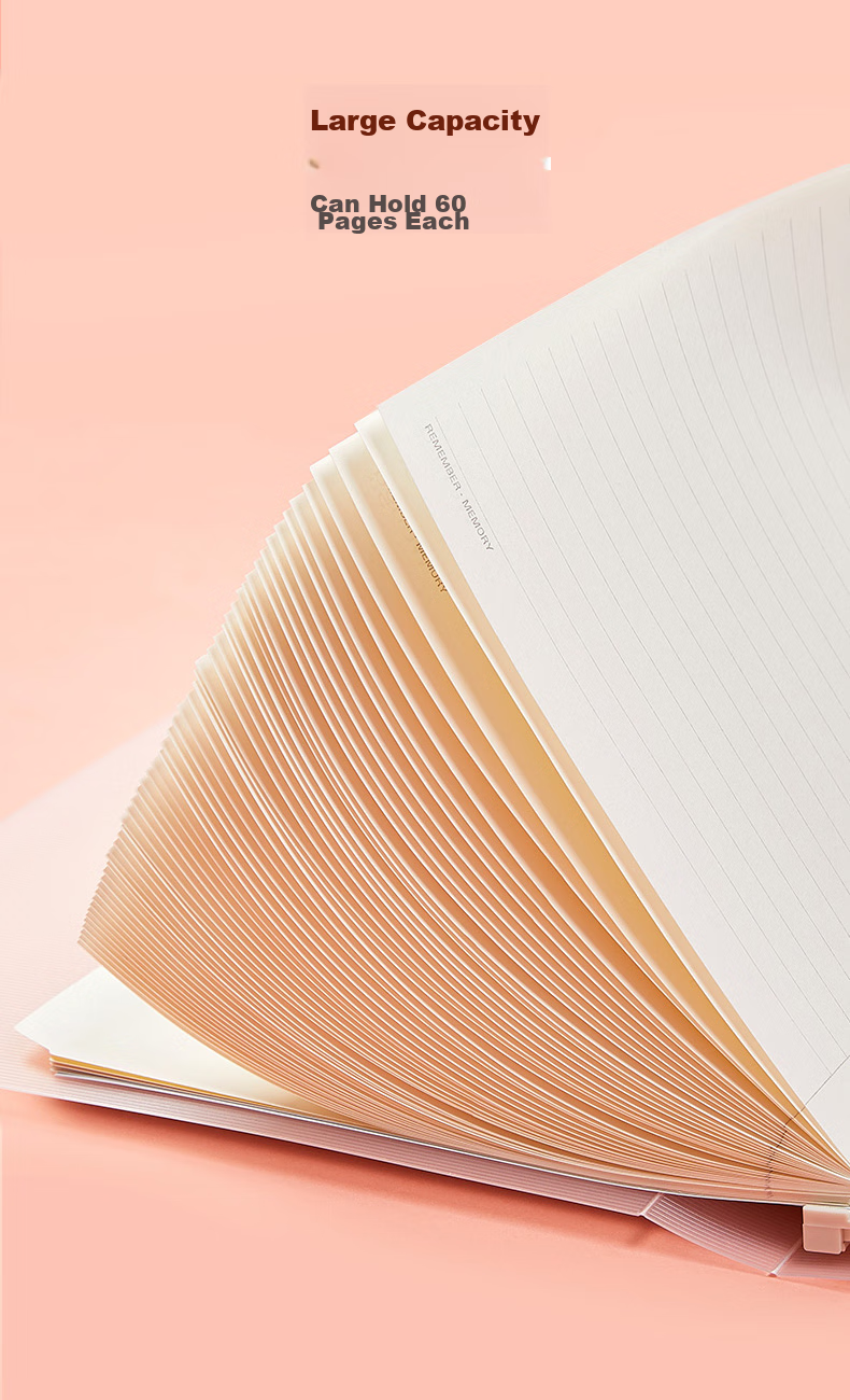 Wengu Loose-Leaf Notebook, Handwritten B5/60 Sheets, for Notes And Diary, Suitable for Middle And High School Students, Office Meeting Use, Detachable with 26 Holes, Includes Index Dividers, Ruled B17-B5/B Pink 9