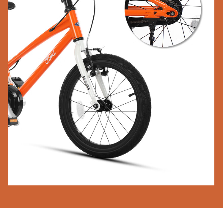 Ford Kids Mountain Bike 20-inch Desert Storm Gear Bicycle for Boys and Girls Ages 6-15 1