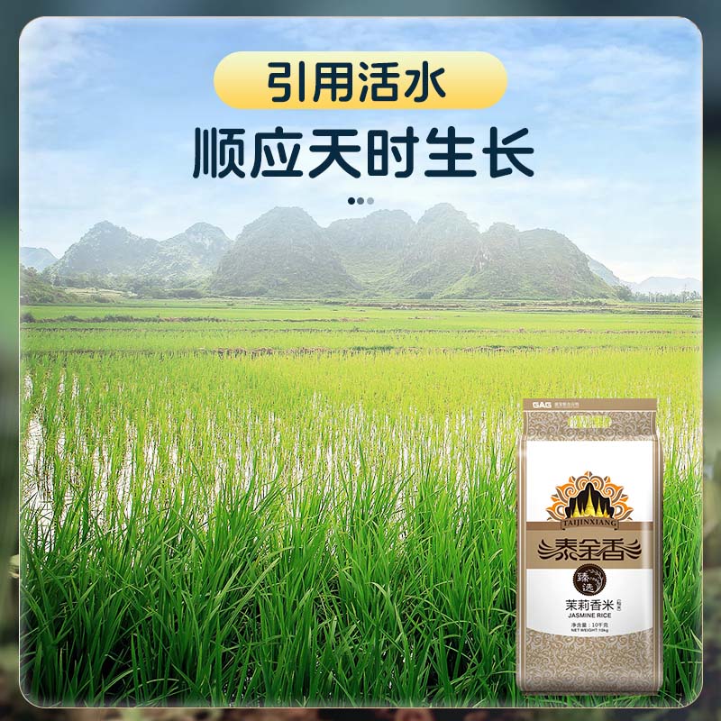 泰金香 臻选茉莉香米 大米10kg 长粒米 香米 大米20斤家庭装