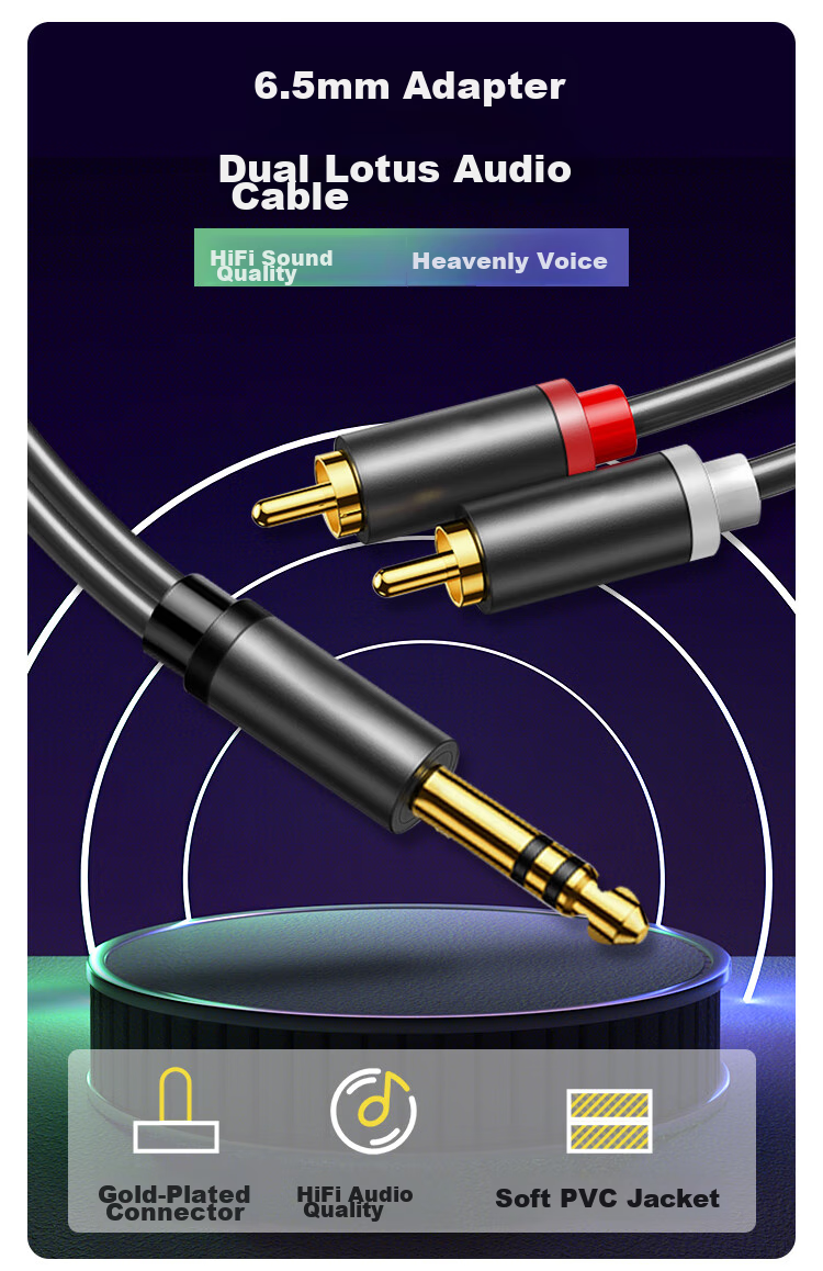 HAILE 6.5mm to Dual RCA Audio Cable, 6.35mm Male to 2RCA Red And White Male, Amplifier Mixer to Speaker Converter Cable, 5 Meters, HT-6L2 1