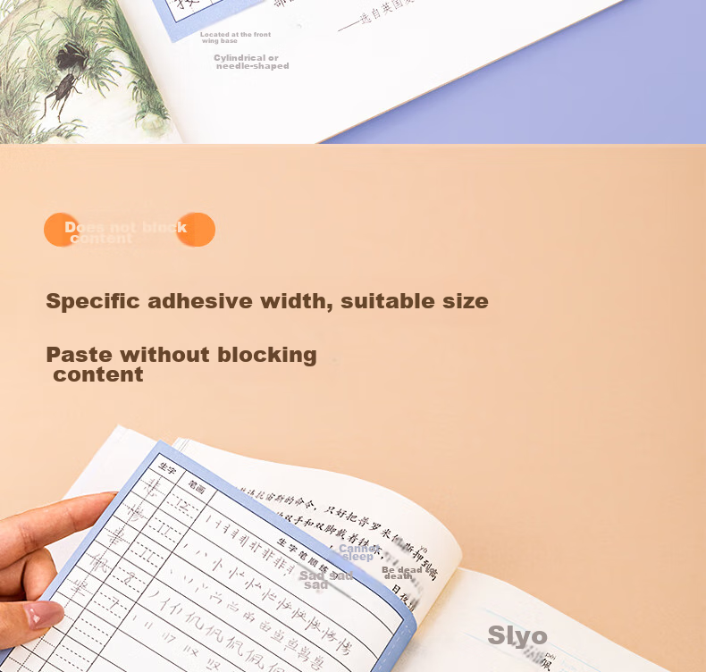 Deli Character Preview Cards, Chinese Self-Adhesive Sticky Notes for Elementary Students, Universal Vocabulary List, Character And Word Cards for Pre-Class Study, Eight-Row Grid with Tian Characters, BT122 7
