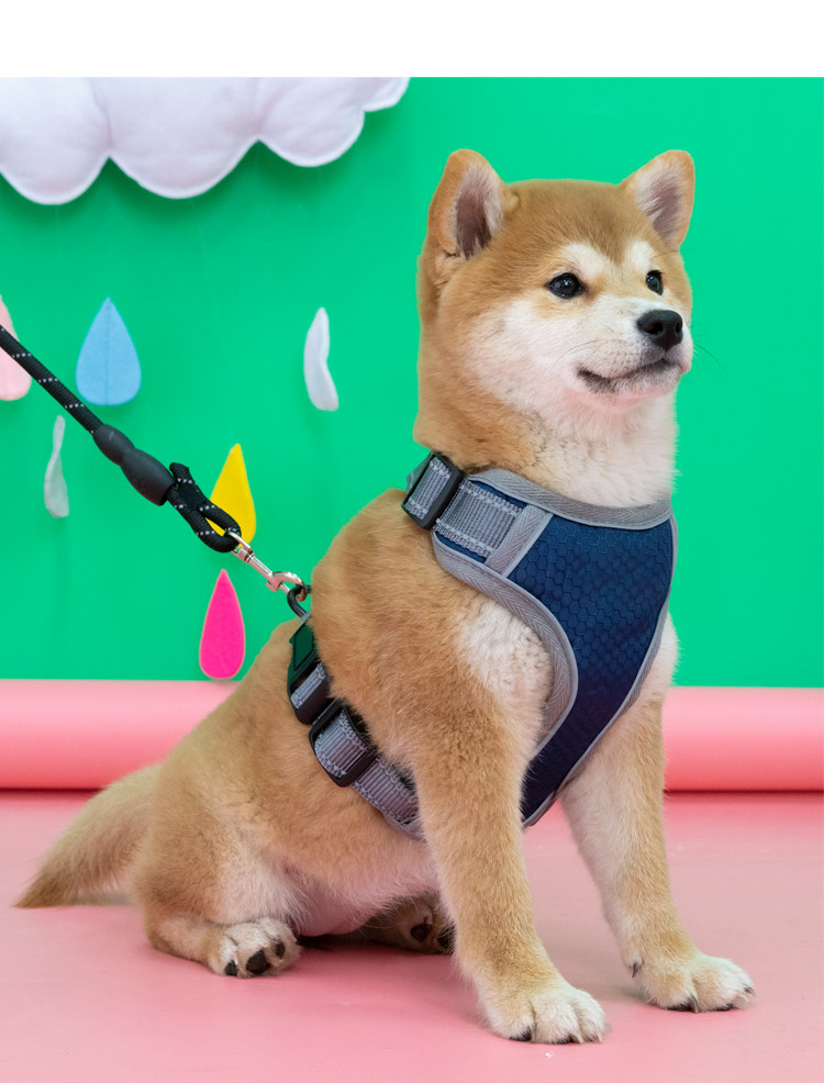 狗狗胸背带牵引绳背心式背带防爆冲中型犬宠物用品柴犬项圈小型犬yj5