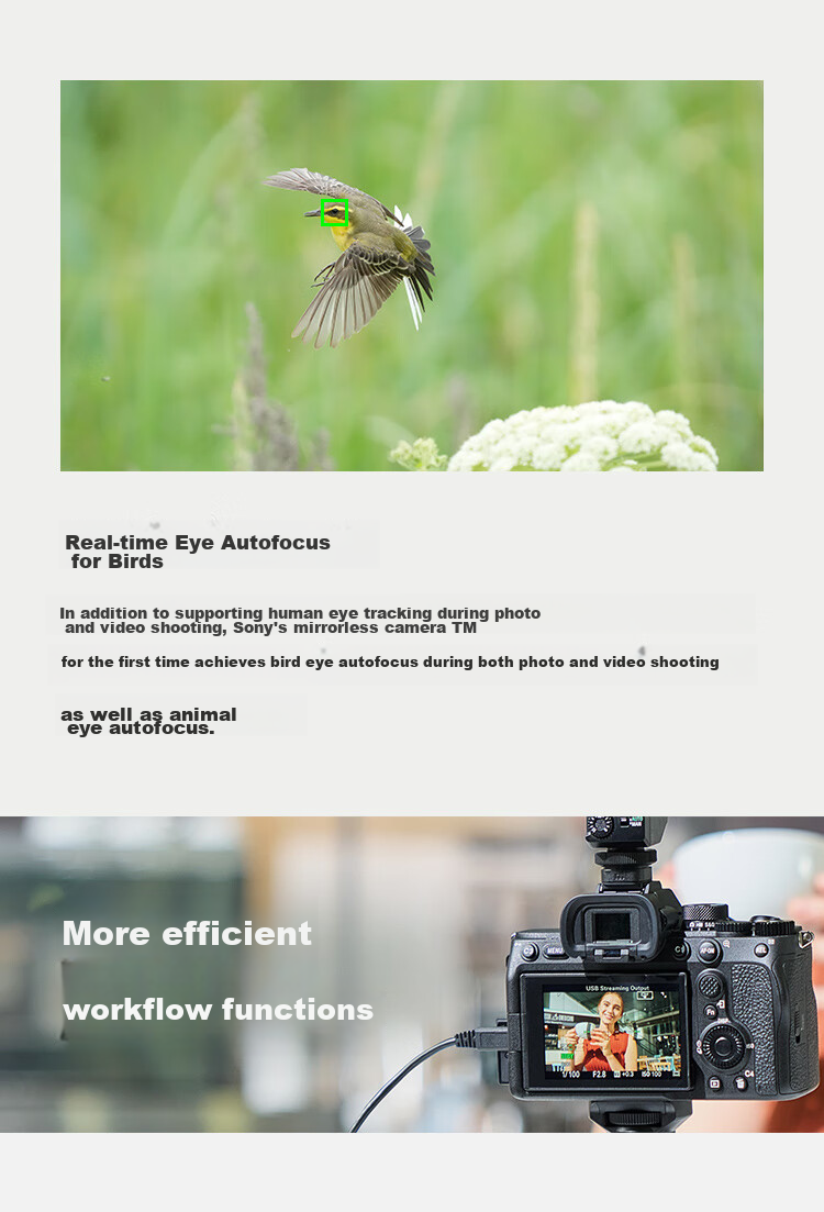 SONY Alpha 7 IV Full-Frame Mirrorless Camera, Creative Appearance Filter, Body Only, 4K 60p (ILCE-7M4/A7M4) 26
