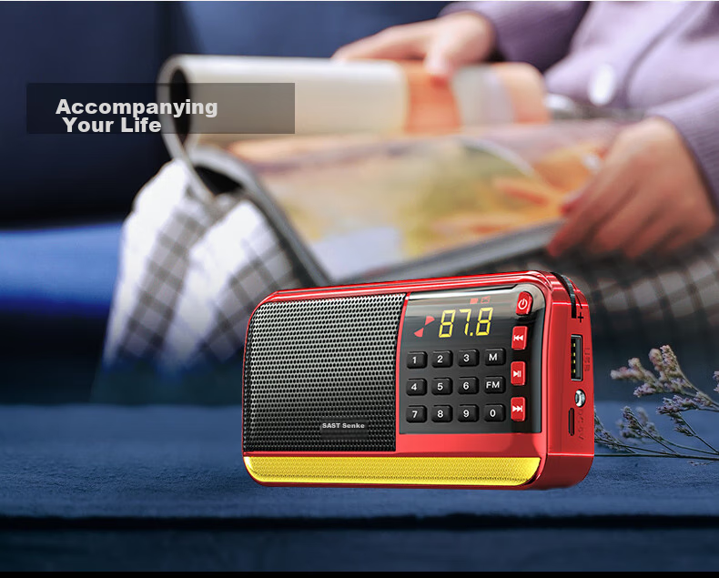SAST V30 Black, Radio for Elderly, Rechargeable, Portable, Card-Insertable, Pocket-Sized, Mini Personal Radio, Campus Broadcasting, FM Tuning, Digital Player 16