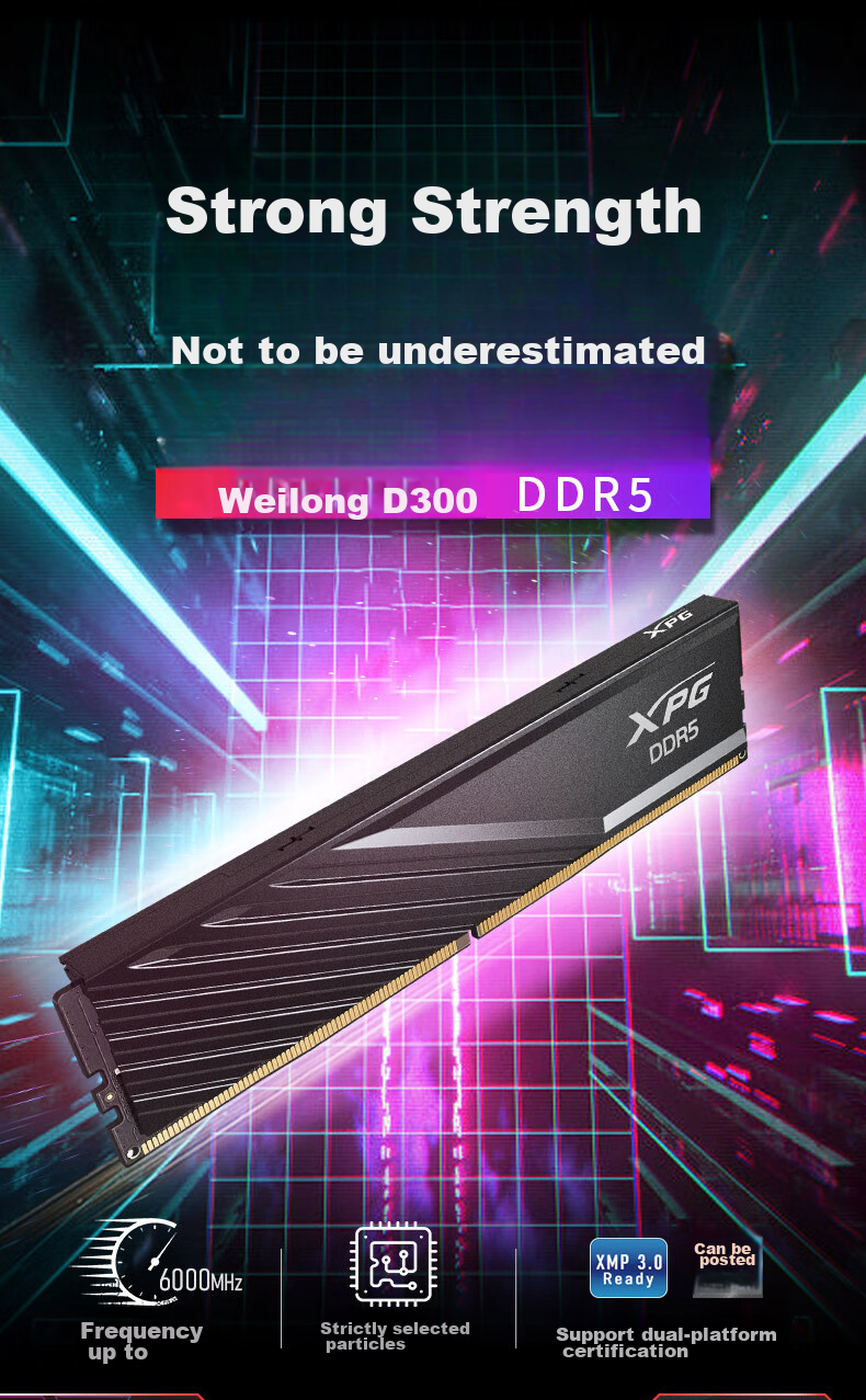 ADATA 32GB (16GB X 2) Kit, DDR5 6000 Desktop Memory Module, Hynix A-Die Chips, XPG Weilong D300 (Black), C30 2