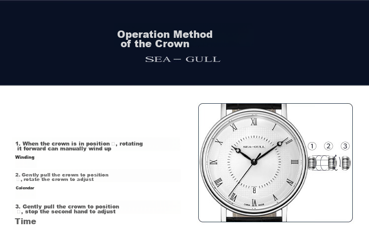 SEAGULL Men's Automatic Mechanical Watch, Bauhaus Date Display Men's Watch, Birthday Gift for Men, Model 6091 39