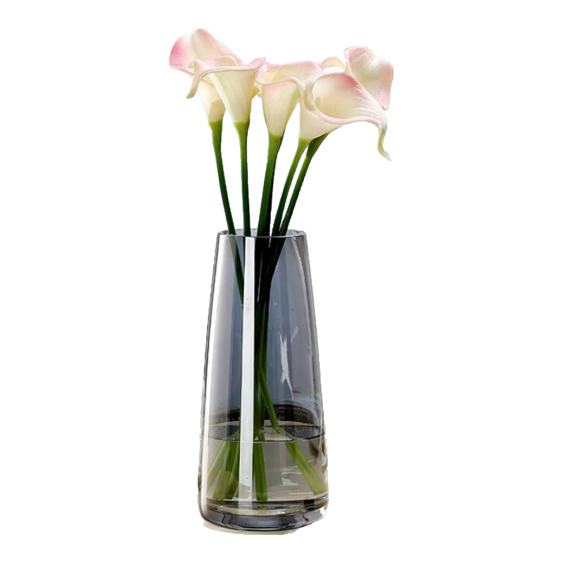 Jidukongjian Glass Vase, Flower Arrangement Vase, Green Plant Hydroponic Ecological Bottle, Flower Arrangement, Home Decor Ornament