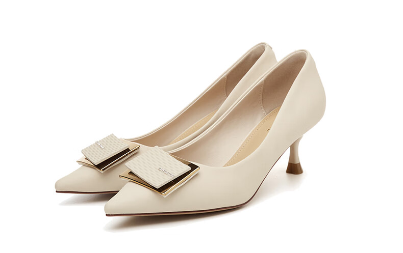 DAPHNE Elegant High Heels for Women, Pointed Toe, Stiletto, Shallow Mouth Pumps, Versatile Work Shoes 4623101023 Beige 36 27