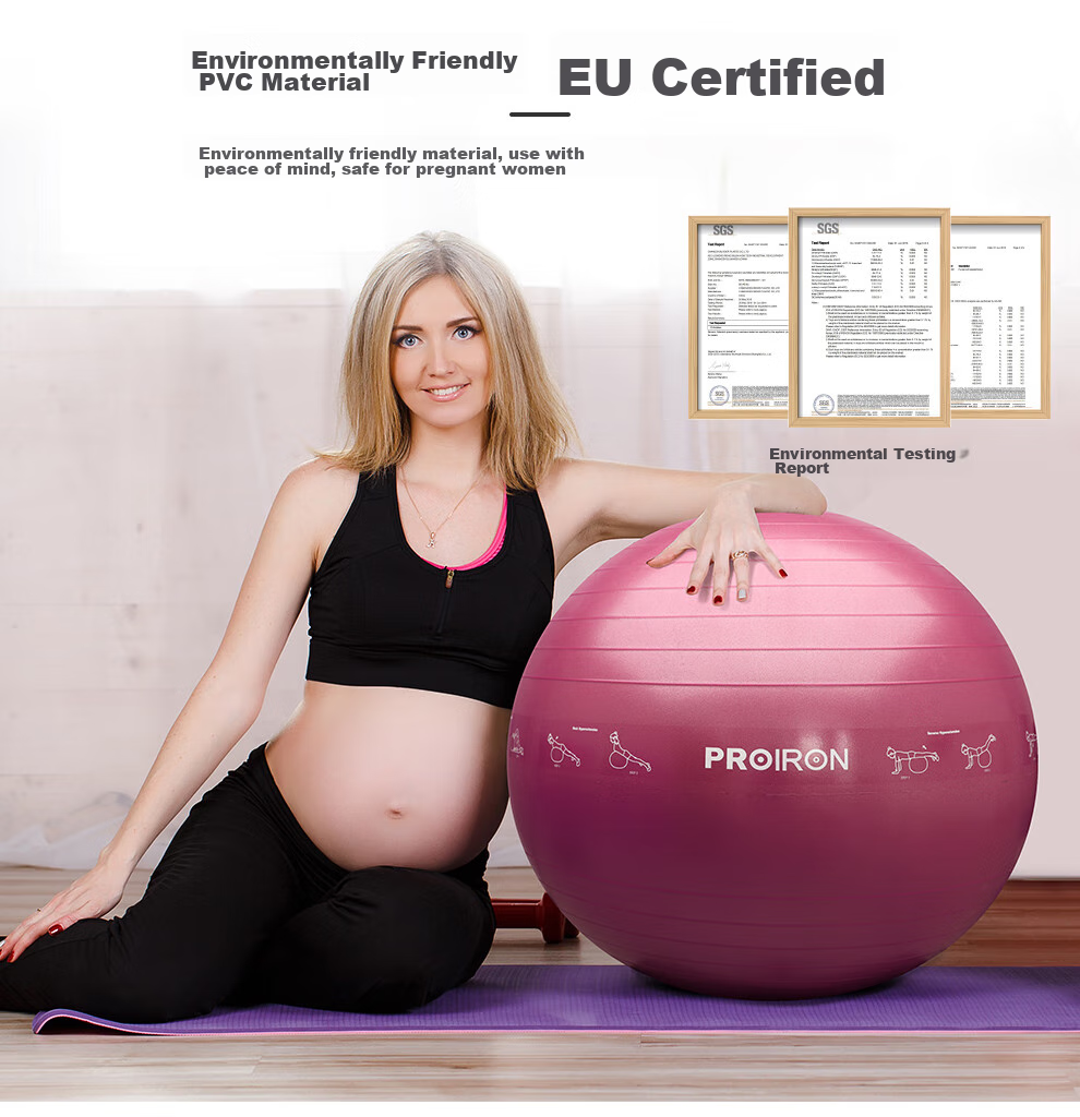 PROIRON Puli'ai Yoga Ball, Thickened Anti-Burst Fitness Ball for Adults, Large Balance Ball, 65cm Elegant Gray 8
