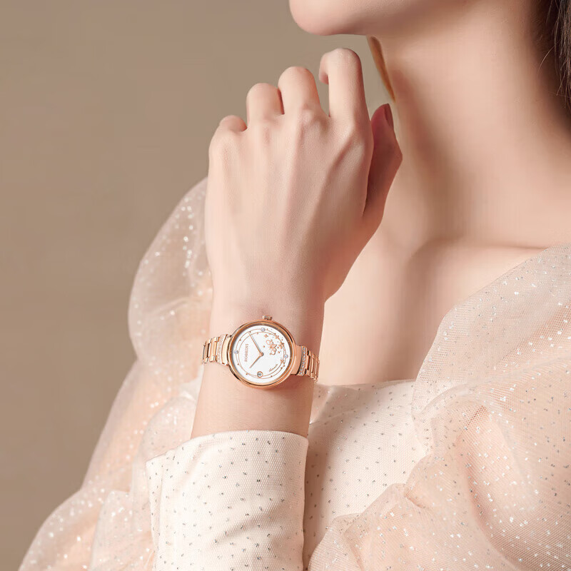 ROSSINI Women's Automatic Mechanical Watch with White Dial And Steel Strap, Birthday Gift for Girlfriend, Chinese Brand, Water-Resistant, Luminous