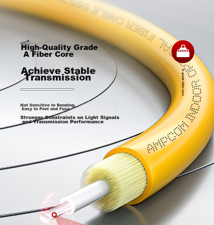 AMPCOM Fiber Optic Patch Cable SC-SC Telecom Grade 2.0mm Single-Mode Dual-Core Engineering 9/125μm Transceiver Pigtail Low Smoke Zero Halogen Indoor Cable 3 Meters ASM2SC2203 6