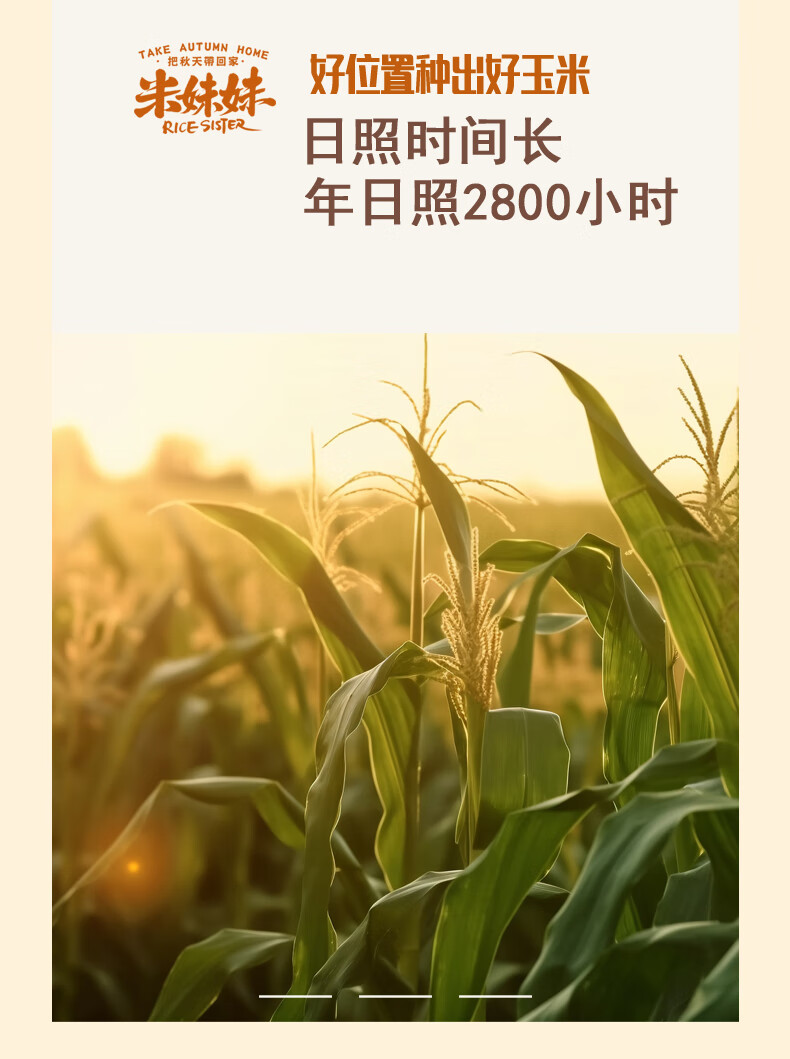 详情图.png