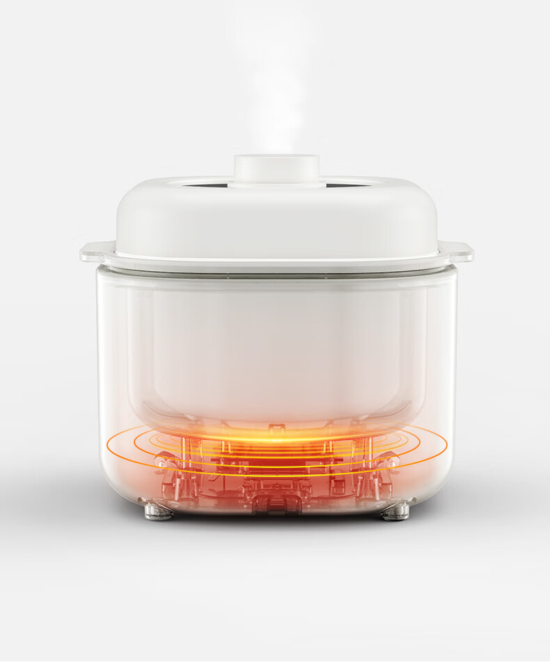 Olayks Instant Electric Stew Pot, Electric Stew Cup, Double Boiler, Soup Pot, Bird's Nest Stew Pot, Steamer Pot, Baby Food Cooker for Porridge, 1L with Steamer Basket 22