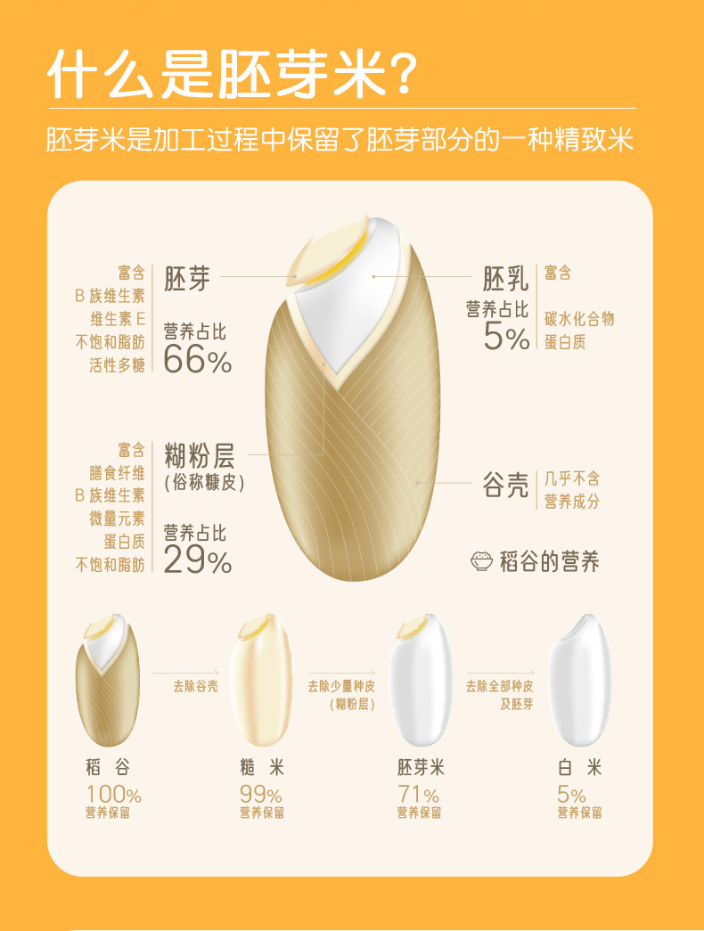 75923-【拍1发2】田喜粮鲜 胚芽米500g 粥米可搭配营养粥宝宝米幼儿米胚芽米真空宝宝米 胚芽米/1盒-详情图