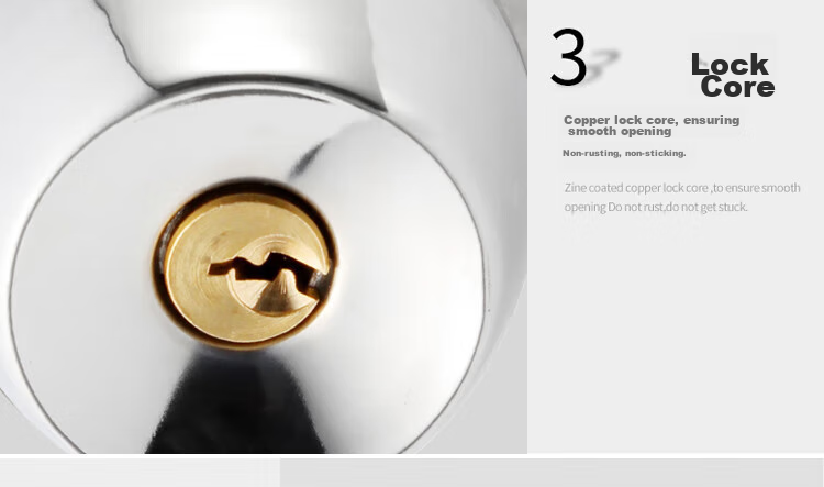 BLOSSOM Spherical Lock Stainless Steel Ball Lock Interior Door Lock Wooden Door Lock Bathroom Door Lock 5791 Silver 9