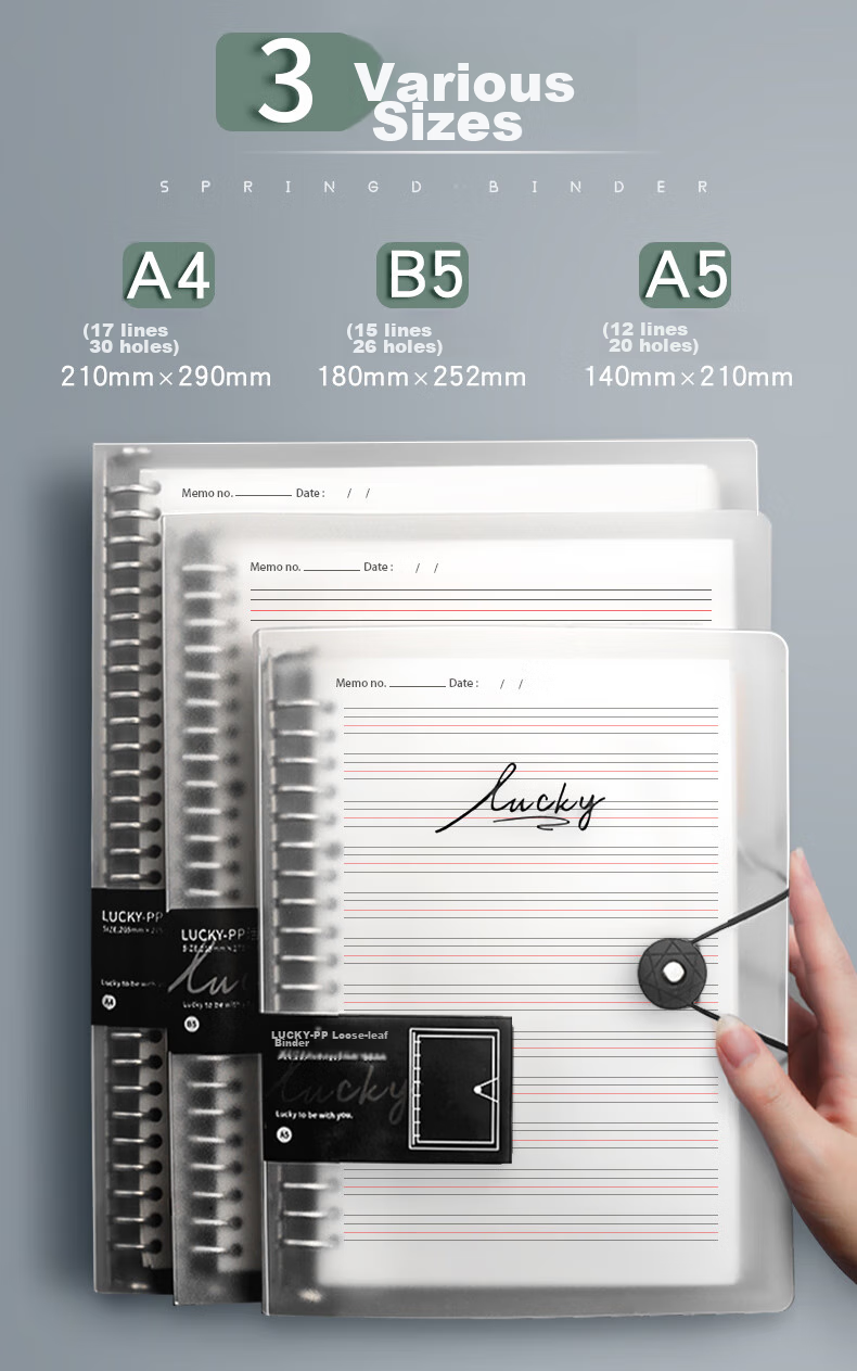 Jinzhi B5/120 Sheets English Loose-Leaf Notebook, Comfortable to Hold, Detachable English Error Correction Book, Thick Loose-Leaf Paper, Essential Supplies for Primary, Middle And High School Students, College And Graduate School Entrance Exams, Back-To Seaso 3