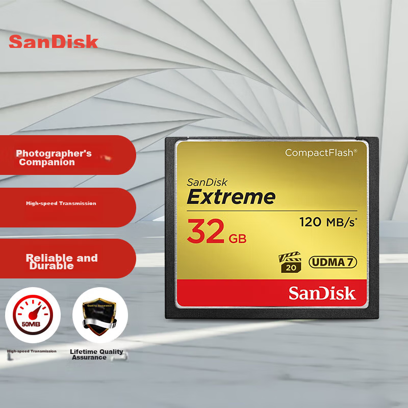 SanDisk (S-01273143
