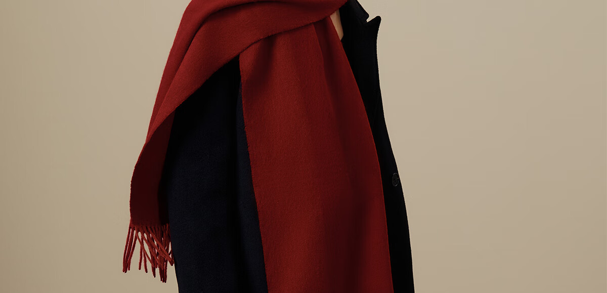 Wanshili Cashmere Scarf, Autumn And Winter Warm Neck Warmer, Fashionable Shawl for Men And Women, Gift for New Year And Holiday Season, Gift Box - Fenghua Ji 33