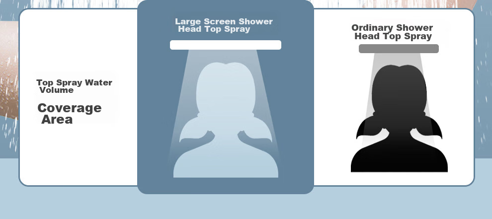 Larsd Surface-Mounted Shower Head Set, Clear Tube Shower Head, Gunmetal Gray Shower Head Complete Set with Shower Faucet LD5066H 6