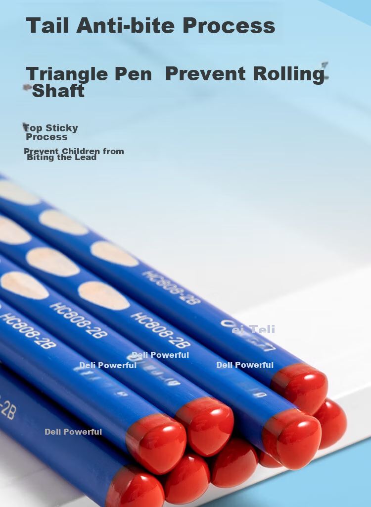 Deli Perforated Pencils, 10 Pieces, 2B Medium Thick Barrel, Triangular Grip for Easy Holding, Hand Posture Correction, Student Writing Practice, Children's HC808-2B School Supplies 11
