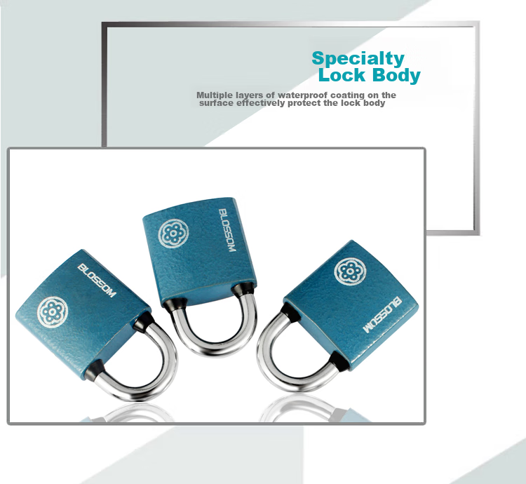 BLOSSOM Master Key Padlock Door Lock Power Lock Distribution Box Lock BC2938-1 Blue 38MM One Key Opens Multiple Locks 8