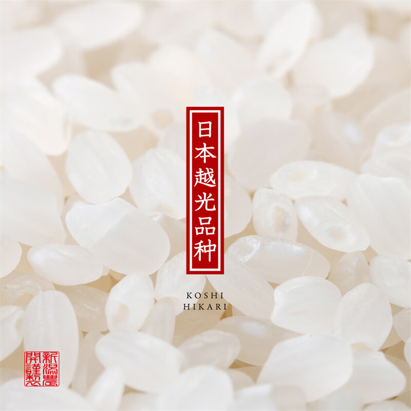 越前日本越光品种大米 500g*10包 寿司米饭团米 东北东港产区 10斤