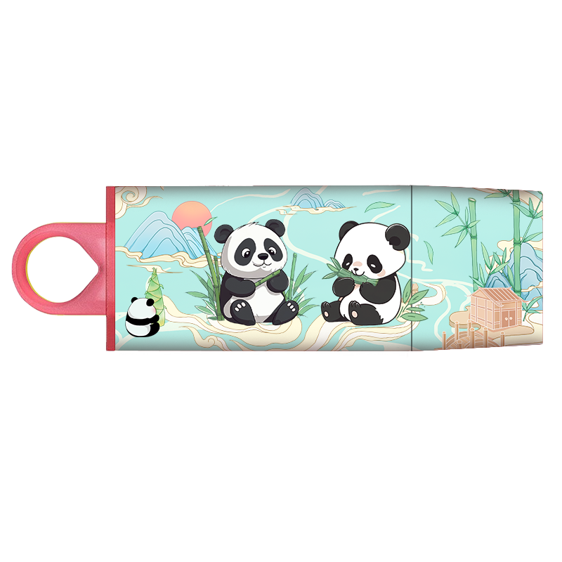Kingston 256GB USB3.2 Gen 1 Flash Drive DTX Bamboo Panda Printed Editio