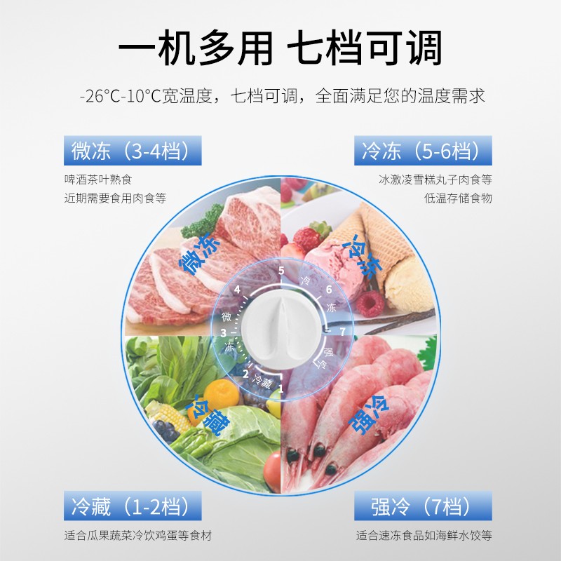 澳柯玛（AUCMA）143升家用冰柜 冷藏冷冻转换冰柜 全冷藏或全冷冻 小型迷你节能单温冷冻柜 BC/BD-143NE