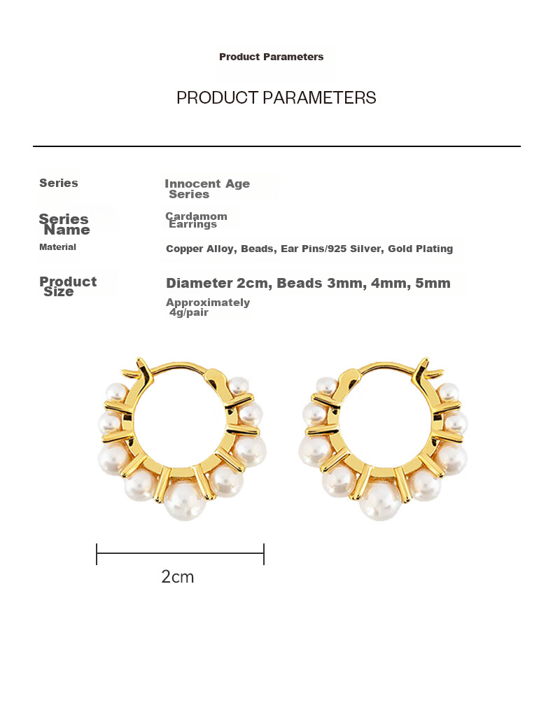 Arsis Pure Era Cinnamon Earrings for Women, Original Design Fashion Jewelry, Birthday Gift for Girlfriend 12