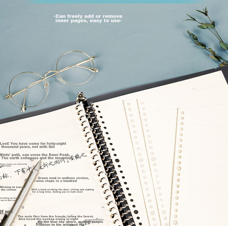 Deli A4/60 Sheets Loose-Leaf Notebook, 30-Hole Refillable, for Notes, Exams, Study, Error Correction, Stationery - Gray Lined 6