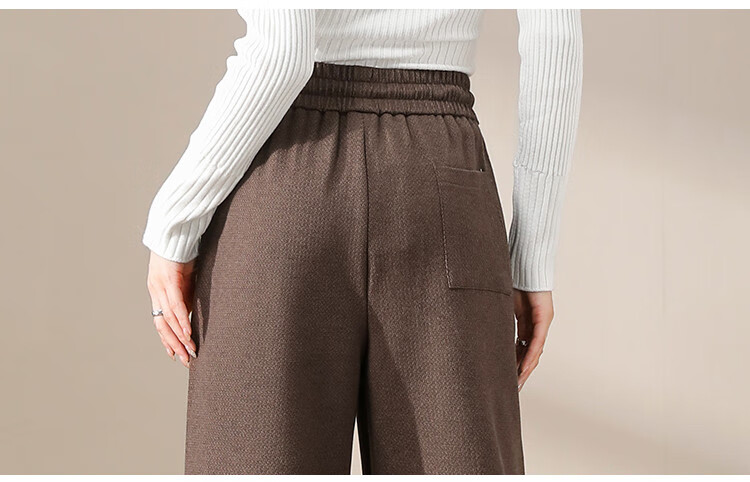 Dme Fleece-Lined Warm Maillard Style Autumn And Winter Simple Solid Color Versatile Straight-Leg Pants Women's Wide-Leg Trousers, Coffee Color, L 13