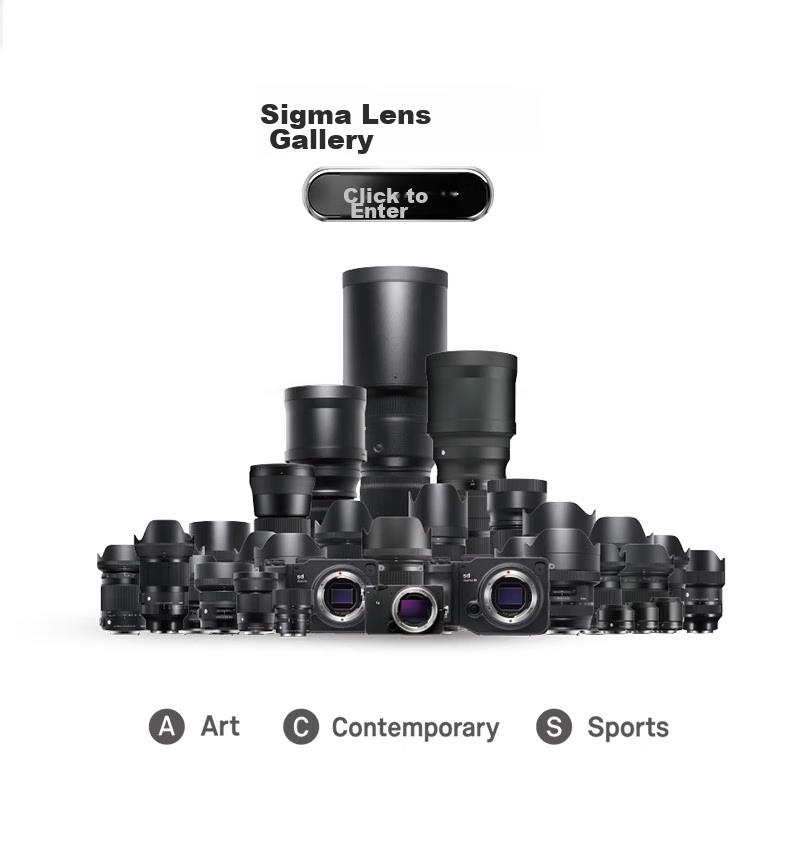 SIGMA 100-400mm F5-6.3 DG DN OS | Contemporary Full-Frame Mirrorless Camera Lens (Sony Mount) 18