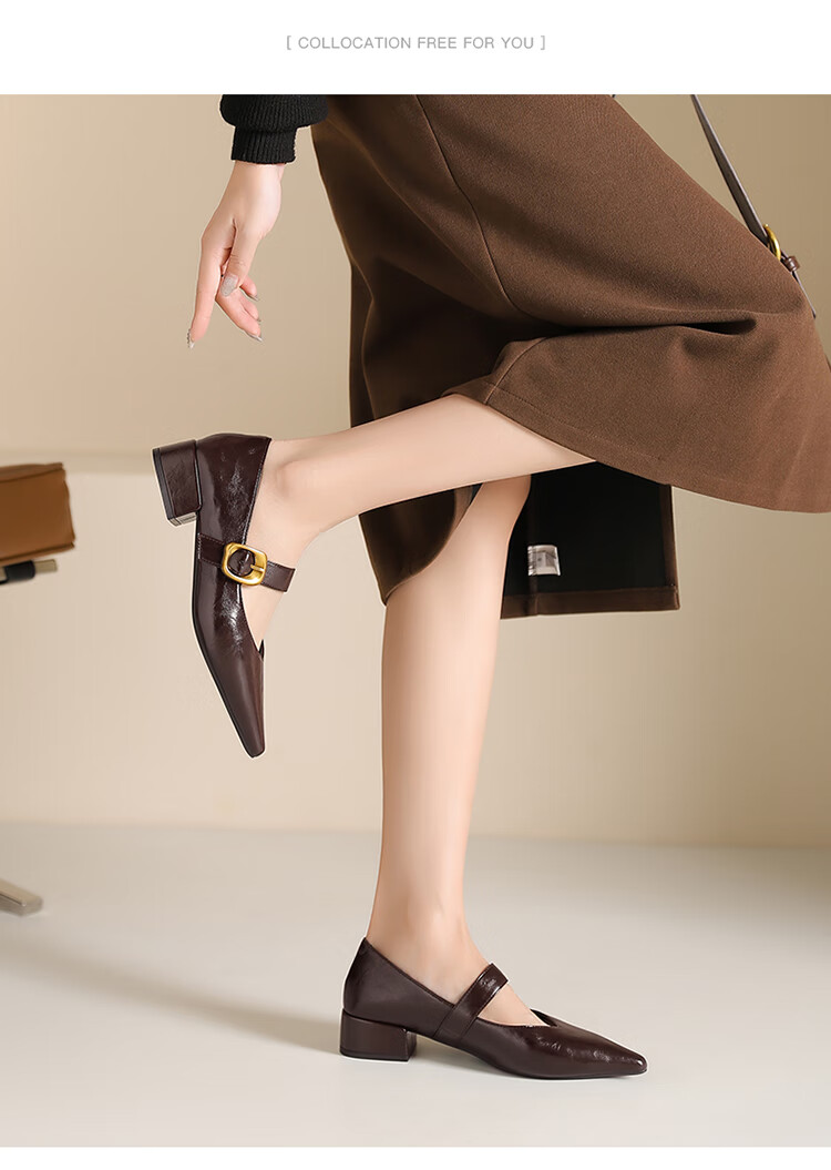 Josiny French Pointed Toe Single-Strap Mary Jane Shoes for Women, New Spring And Autumn 2026 Style Leather Shoes, Retro Chunky Heel Pumps, Black, Size 35 8