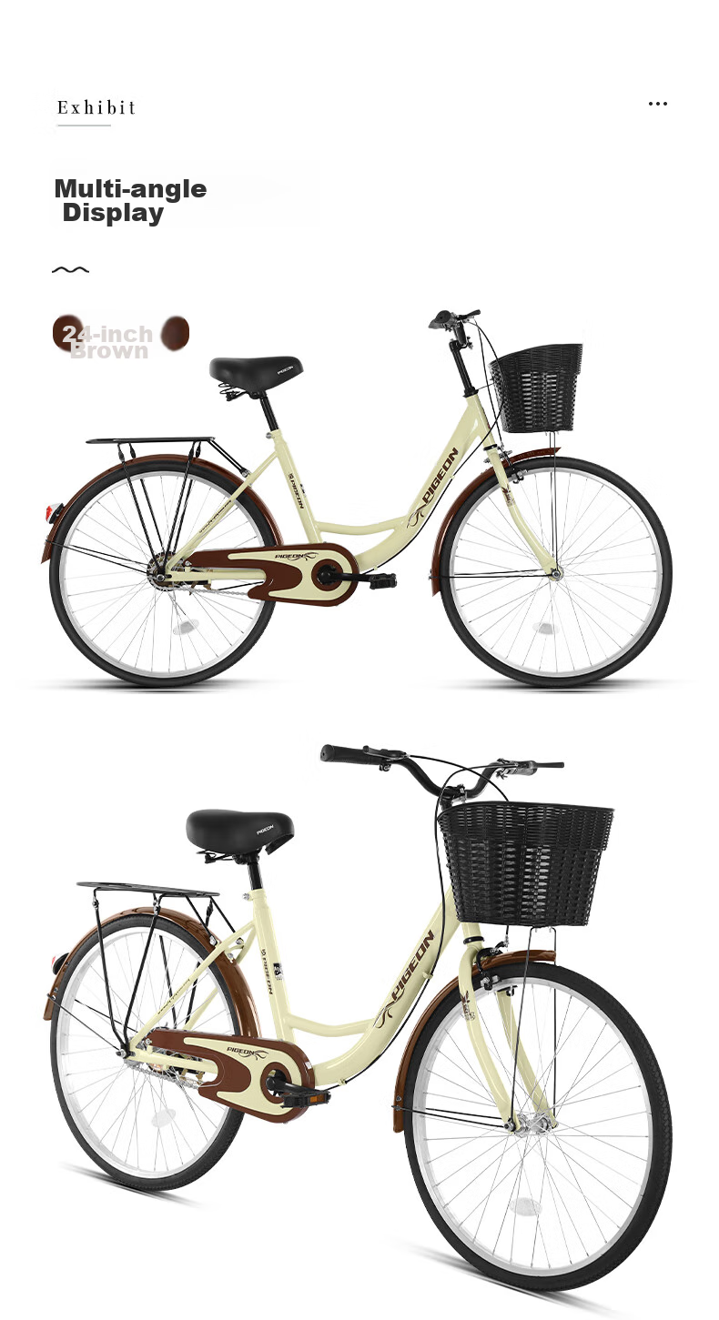 FG FLYING PIGEON City Bicycle, 24-Inch, Tubeless Solid Tire, Commuter Bike for Men And Women, Adult Student Urban Retro Style 14