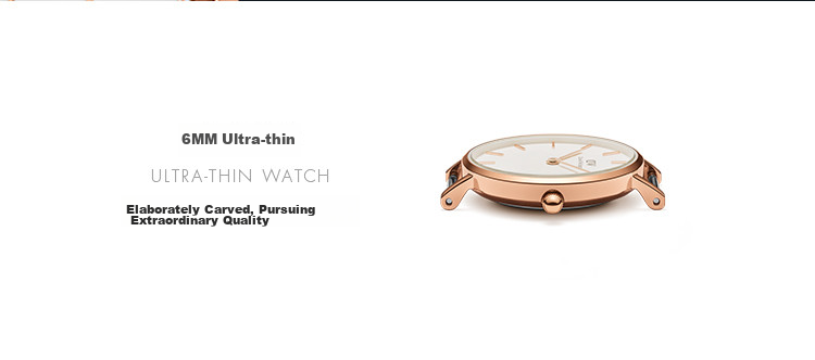 DanielWellington DW Ladies Watch, Niche Luxury Gold-Plated Steel Strap Quartz Wristwatch, Birthday Gift for Girlfriend, DW231 3