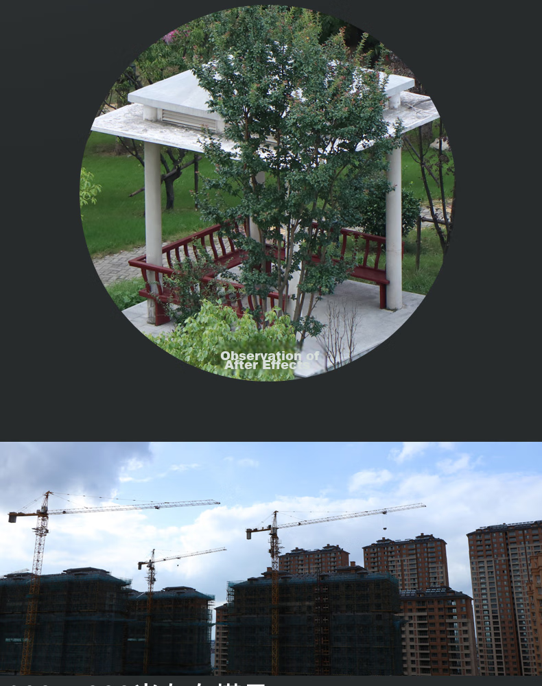 StarMICRO Binoculars 10x42 Waterproof High Magnification High Definition for Outdoor Children's Bird Watching And Photography, Concert Viewing 13