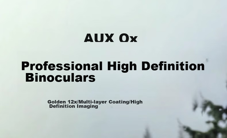 AUX Binoculars for Children, High-Definition Mini Compact Portable Folding Night Vision Concert Mobile Phone Moon Viewing 1