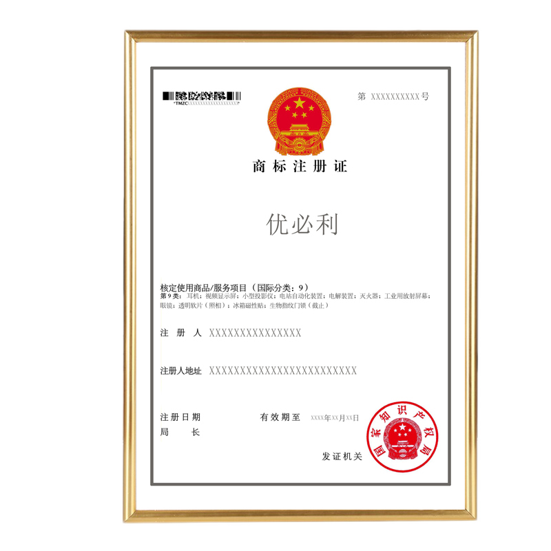 Youbili A4 Certificate Frame, Photo Frame, Plastic Certificate Frame, A4 Business License Frame, Business And Tax Registration Certificate Frame, Horizontal And Vertical Document Frame, Gold 5064A