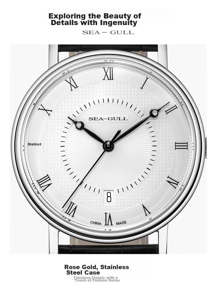 SEAGULL Men's Automatic Mechanical Watch, Bauhaus Date Display Men's Watch, Birthday Gift for Men, Model 6091 34