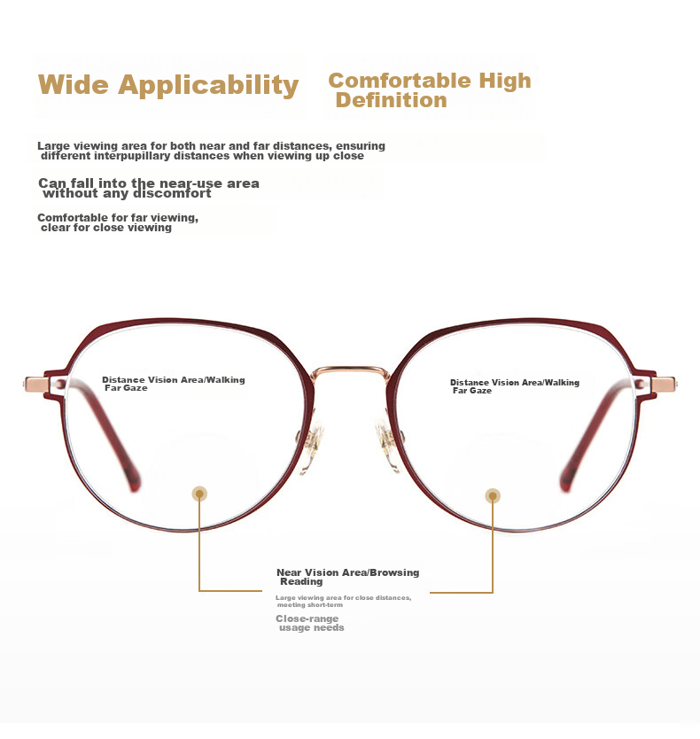 Xiyanghong Reading Glasses for Women, Bifocal Anti-Blue Light Fashionable Ultra-Light Dual-Light Presbyopic Glasses for Elderly E9059H 300 Degrees 4